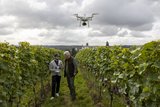 Winzer tauschen sich über die Nutzung von Drohnen im Weinbau aus.